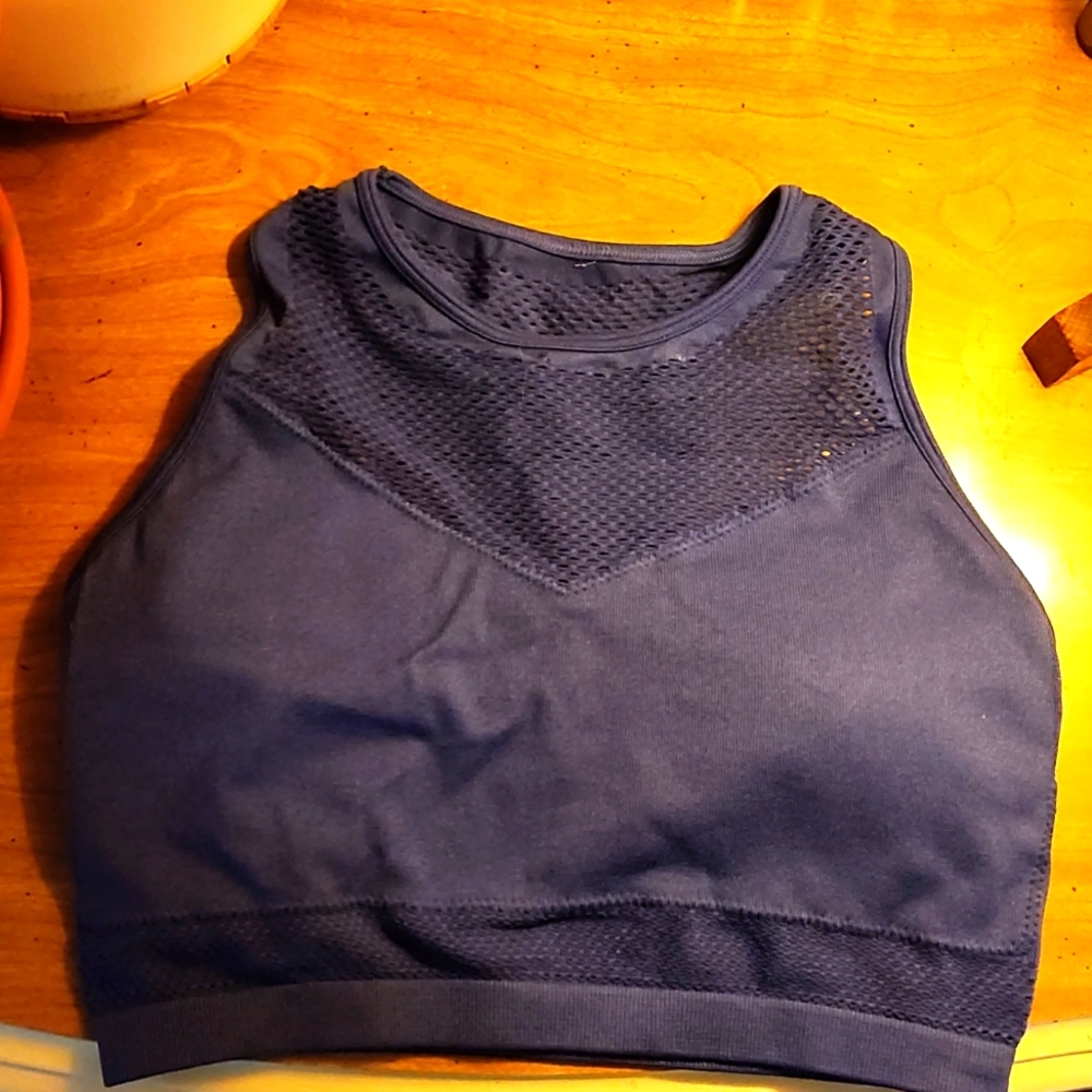 Fabletics royal blue sports bra mesh